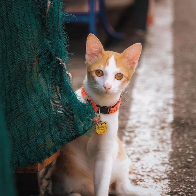 เชียงคาน