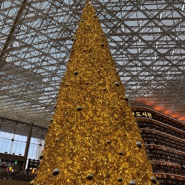 Coex mall starfield library💕韓國最潮打卡熱點