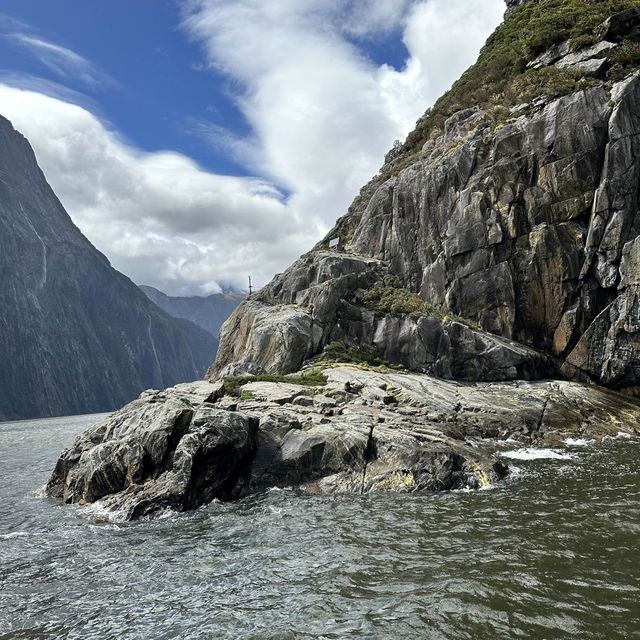 NZ 紐西蘭 南島 米佛峽灣 Milford Sound