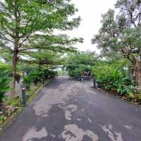 D’Jongkon Valley Sentul