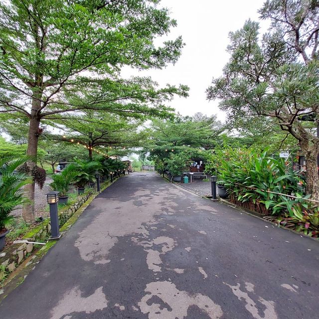 D’Jongkon Valley Sentul