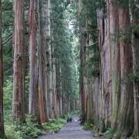 【長野】日本有数のパワースポット「戸隠神社⛩」