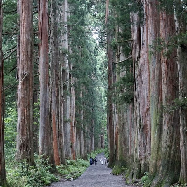 【長野】日本有数のパワースポット「戸隠神社⛩」