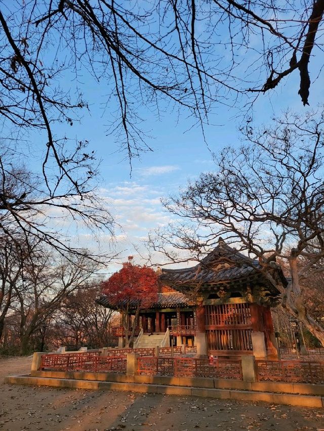해 질 무렵 방문하기 좋은 전주 오목대