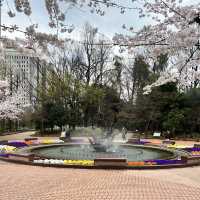 【東京】東京のど真ん中にある自然豊かな公園