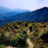 屏風山、黃嶺、八仙嶺