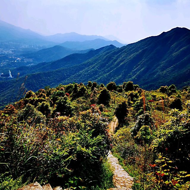 屏風山、黃嶺、八仙嶺