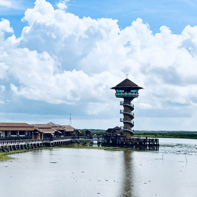 ศูนย์ศึกษาธรรมชาติ และสัตว์ป่าทะเลน้อย