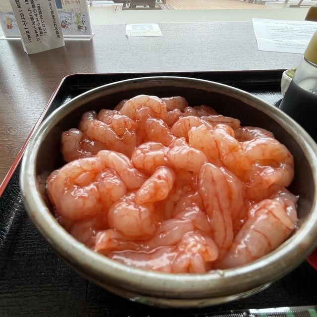 北海道　道の駅　松前でしまえび丼