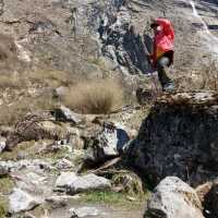 trekking to Annapurna base camp