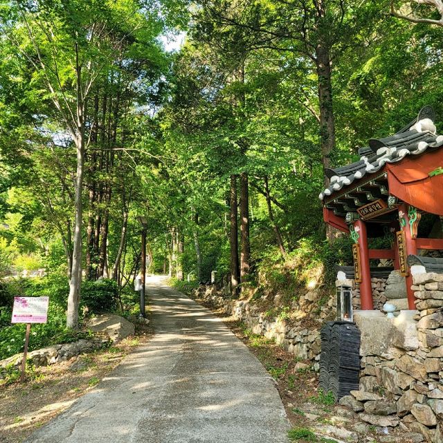 봄 순천여행 