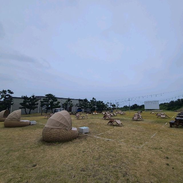 휘닉스 제주 섭지 코지