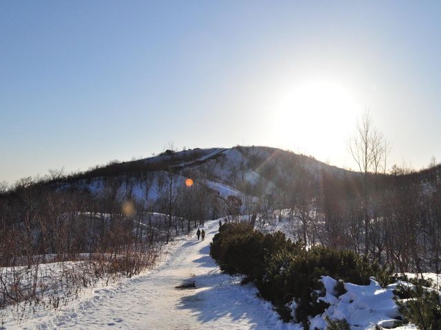 近距離睇火山兼有得玩雪兜！