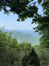 【東京・奥多摩】棒ノ折山