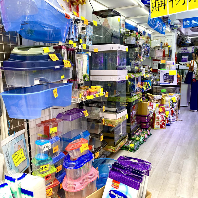 ［金魚街］- 🐠老少咸宜🐢😃