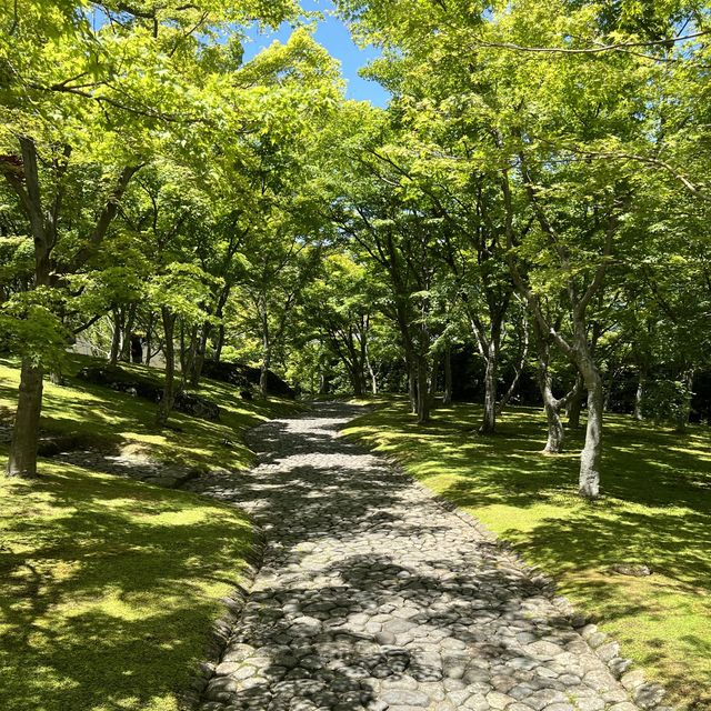 【神奈川】美しい苔を眺めながら散策を楽しむ