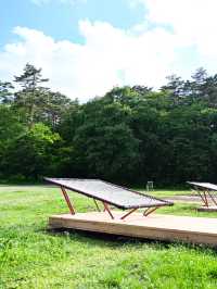 小岩井農場