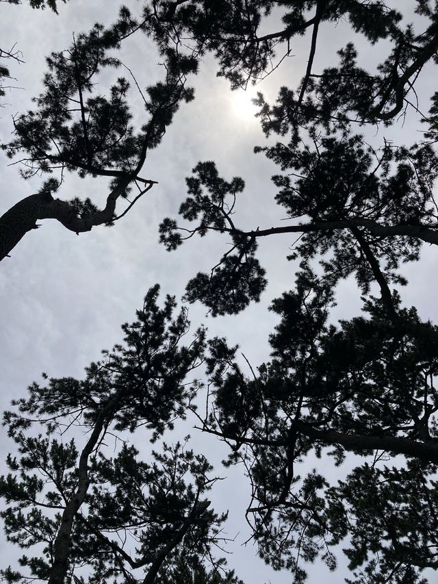 여름 바캉스는 울산으로!