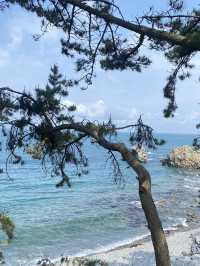 울산여행 코스 추천 (대왕암공원 - 슬도) 
