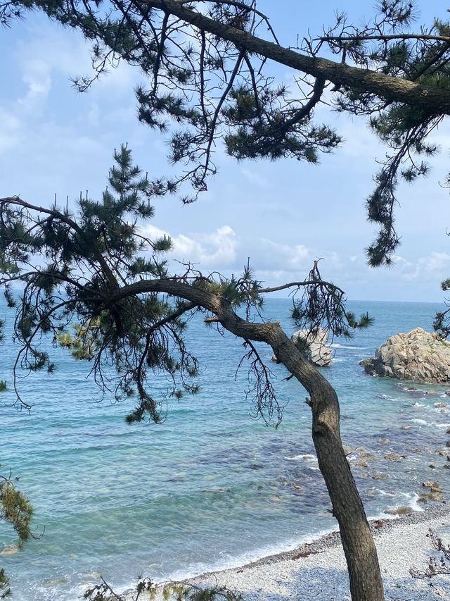 울산여행 코스 추천 (대왕암공원 - 슬도) 