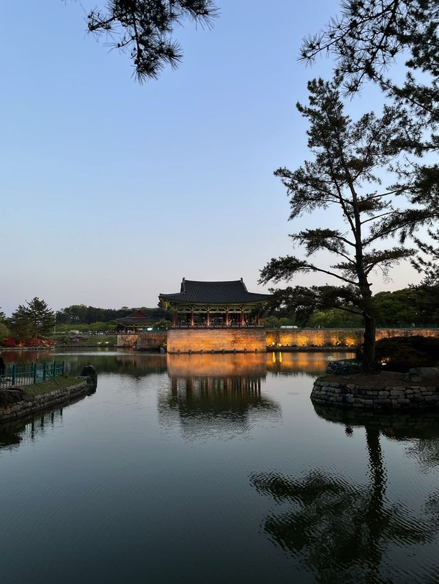 경주 핫플 여행지 모아모아💚 