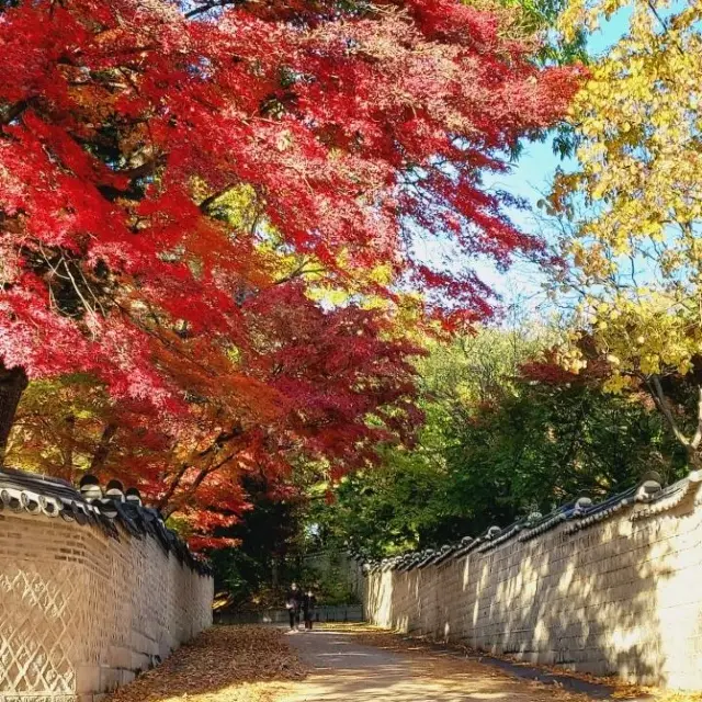 Secret Garden autumn foliage