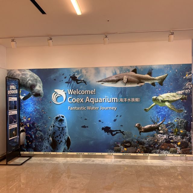 韓国/ソウル【三成】アートな水族館💙COEXアクアリウム