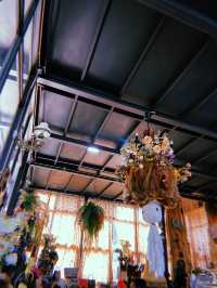 Set Arts and Props Cafe & Bistro ☕️🍛🍲🍰