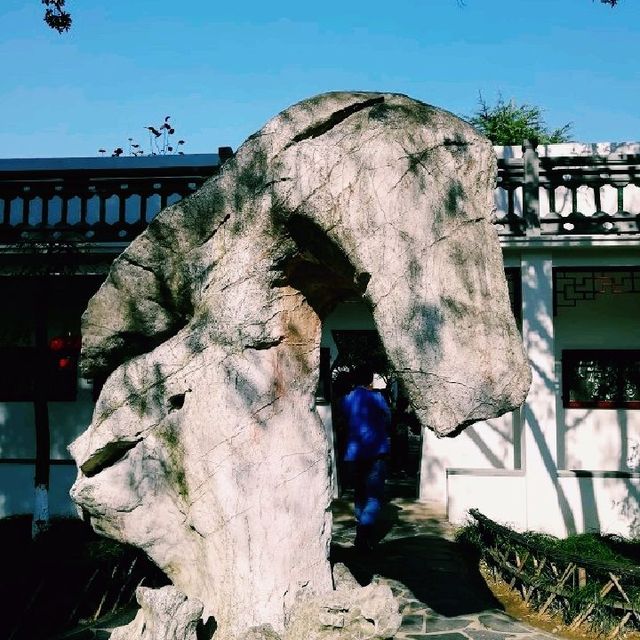 【上海】市郊外「古鎮✨朱家角」にある「課植園」🌳