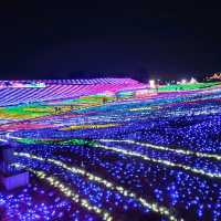 千葉県！東京ドイツ村のイルミネーション①