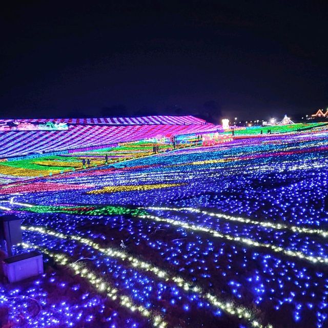 千葉県！東京ドイツ村のイルミネーション①