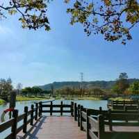 大溪河濱公園-藍天白雲綠草地