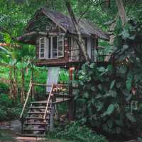 🏠บ้านธารกล่อม นอนริมธาร ฟังเสียงกล่อมจากป่าเขา 🌳