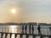 Catch the Sunset with Seagulls 