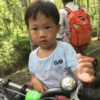 【花蓮‧景點】台灣最長的「森林鐵馬道」-大農大富平地森林園區 