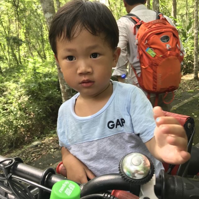 【花蓮‧景點】台灣最長的「森林鐵馬道」-大農大富平地森林園區 
