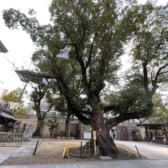 難波神社｜御堂筋のビル街にある神社♪