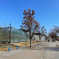 【無料】梅小路公園 市電広場🚃