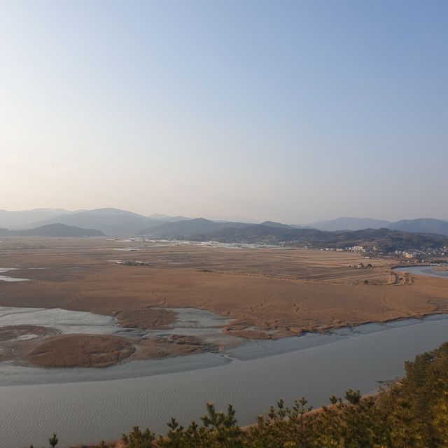 순천ㅣ순천가면 꼭 가봐야 할 인생 사진 맛집, 순천만습지🍂 