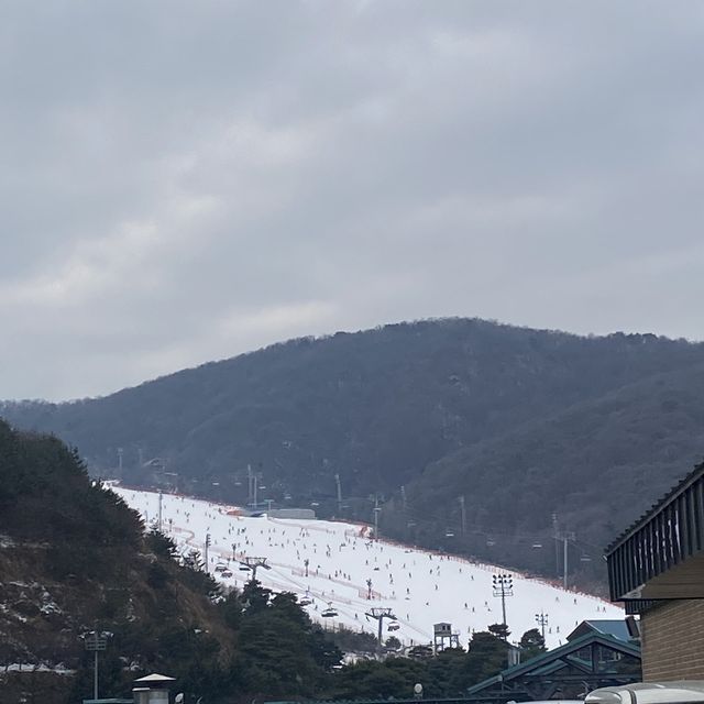 스키부터 썰매까지 한번에 즐길수 있는 곤지암리조트