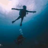 Scuba diving at Koh Tao