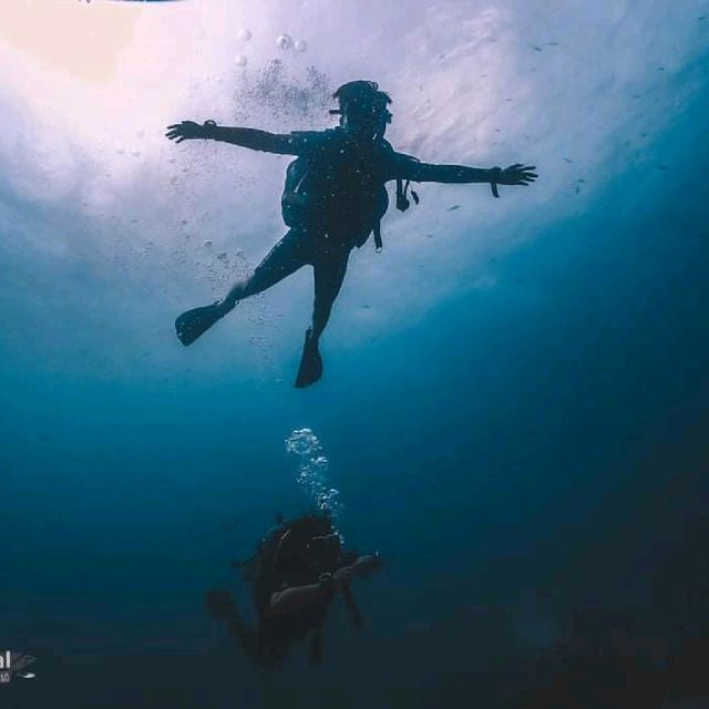 Scuba diving at Koh Tao