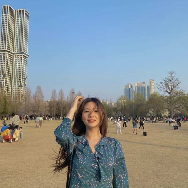 벚꽃엔딩 전에 달려가기! 🌸서울숲공원🌸