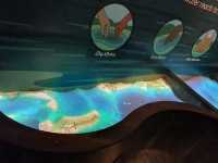 St. Louis Aquarium - Interactive Play Area