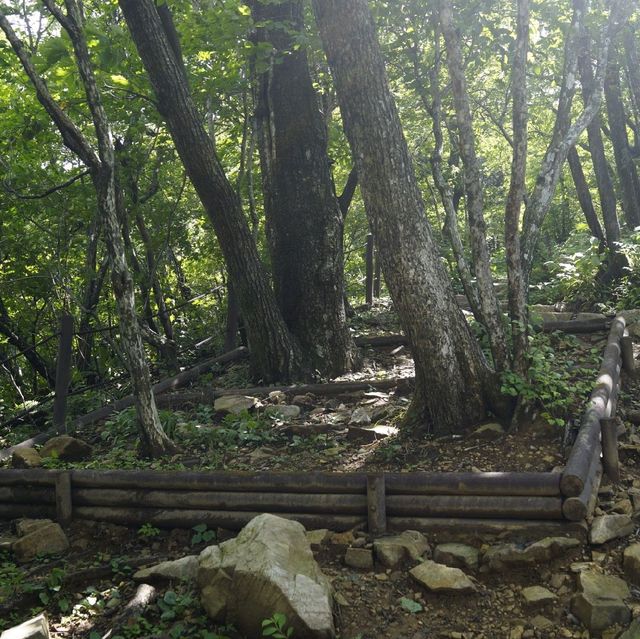 강원 태백산 등산