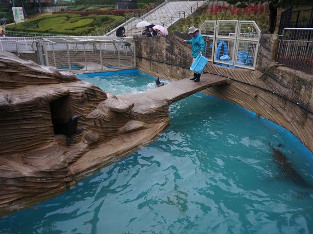名古屋親子好去處推介《東山植物動物園》😎😎