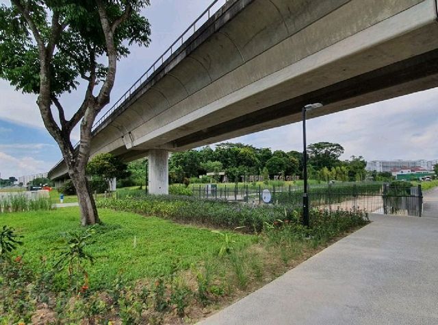 Tampines Naturalised river