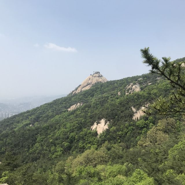 풀내음이 뿜뿜한 북한산 들레길 걷기🫶🍀