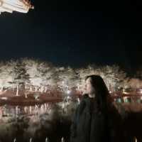 경주 필수 방문코스 안압지 (동궁과 월지)