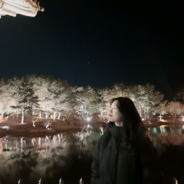 경주 필수 방문코스 안압지 (동궁과 월지)